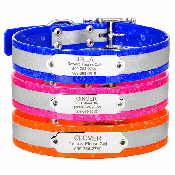 Reflective Waterproof Dog Collars with Nameplate, Riveted-on