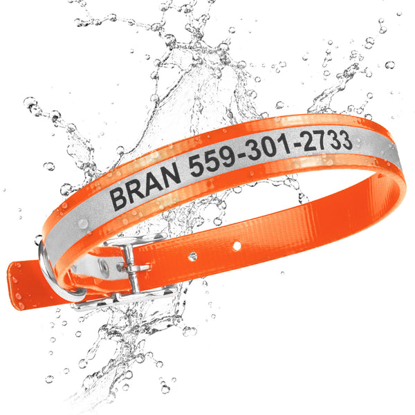 Personalized Reflective Waterproof Dog Collar