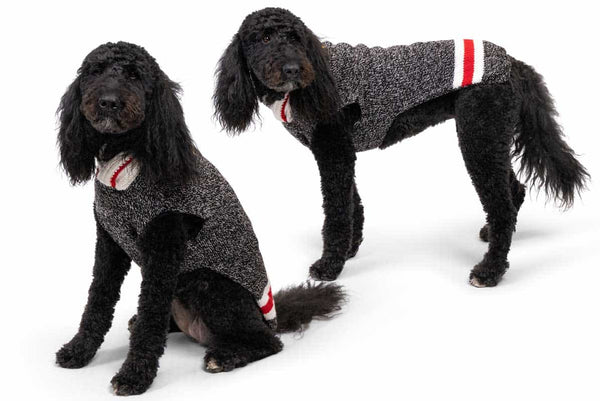 GoTags Boyfriend Dog Sweater Personalized, Black Wool Dog Sweater