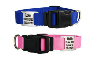 GoTags Dog Collar with Tag Nameplate