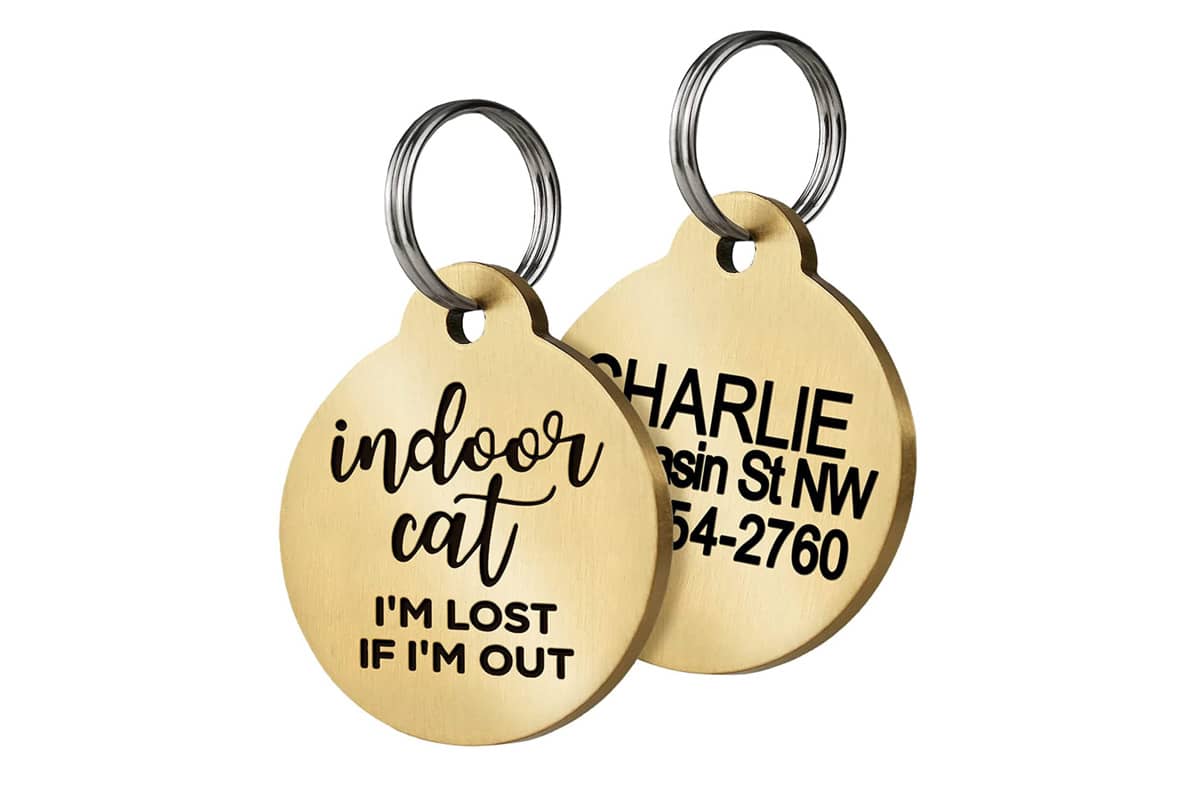 Beautiful view of Custom Name Cat Tags