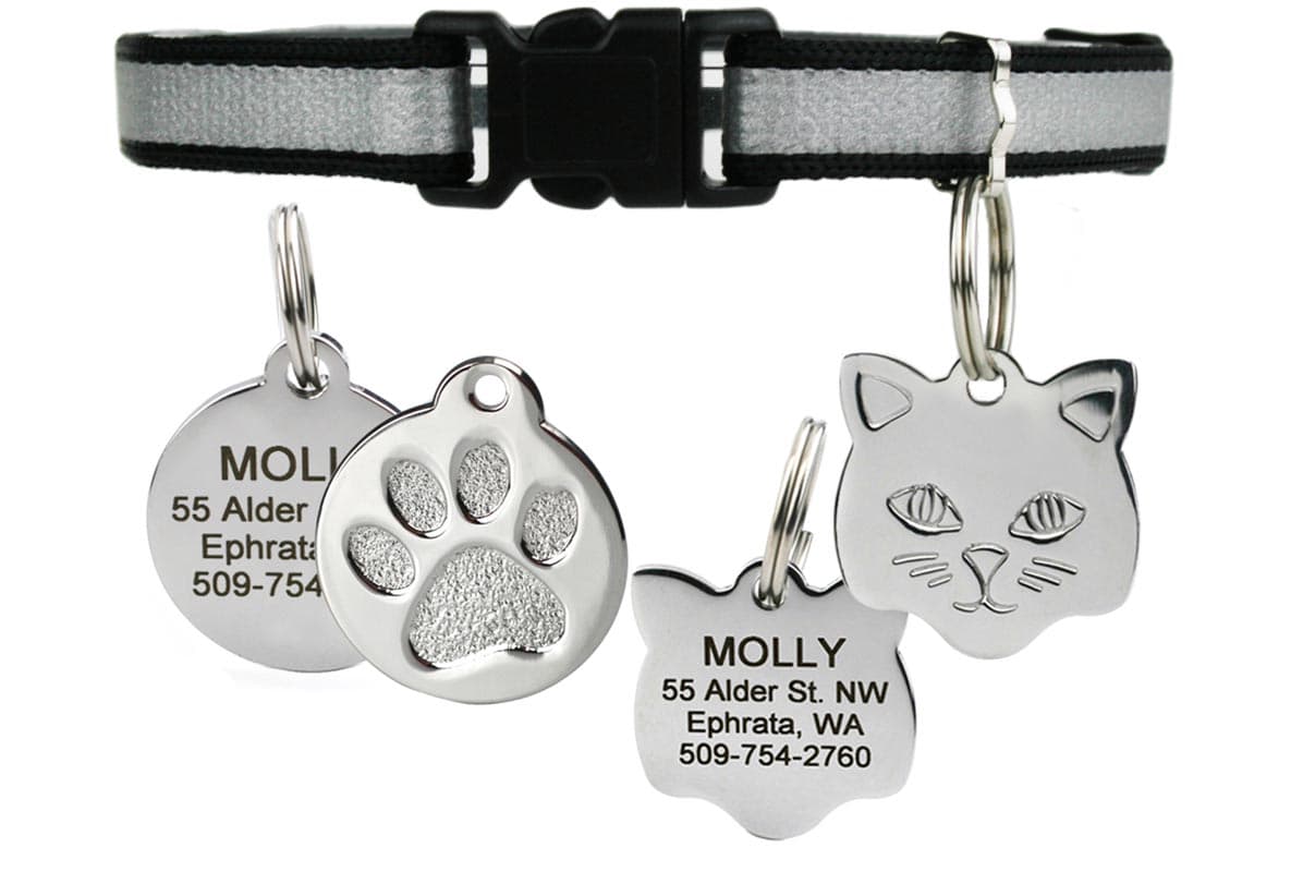 Front view of black breakaway reflective cat collar with safety buckle, bell and engraved paw ID tag on white background