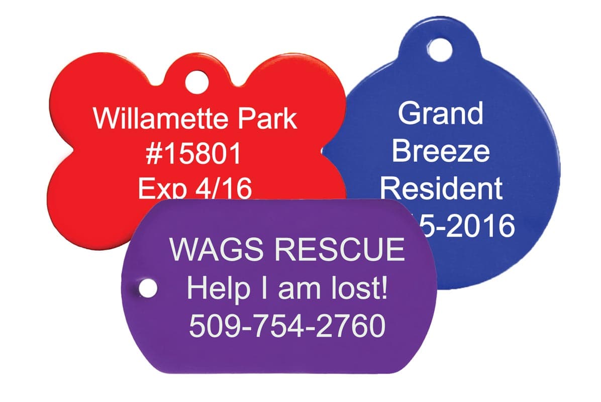 Close-up of engraved custom pet tags showing sample personalized text and split-ring attachments on white background