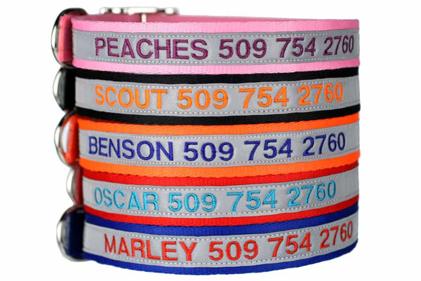 GoTags Personalized Reflective Dog Collars Embroidered with Name and Phone, Metal Buckle