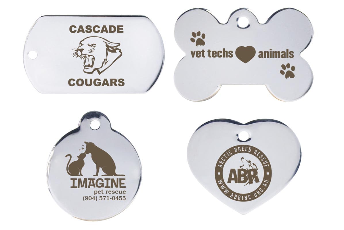 Front view of four stainless steel pet ID tags (rectangular, bone, round, heart) showing custom engraved logos on white background