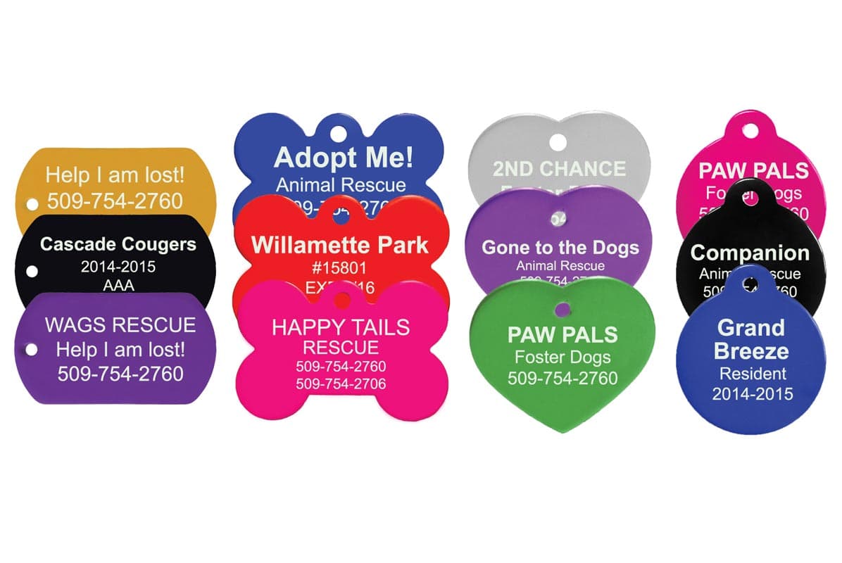 Assorted custom pet tags in multiple shapes and colors showing sample engraving and phone numbers on white background