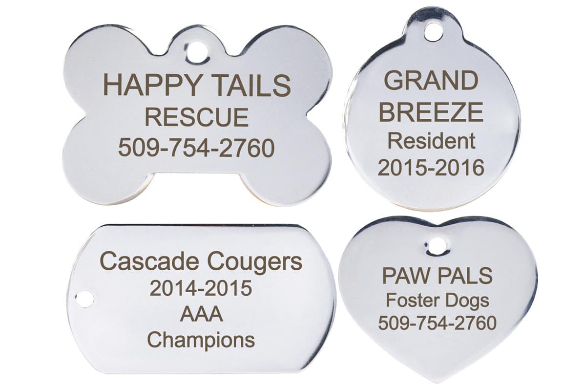 Flat lay of four stainless steel pet ID tags (bone, round, rectangle, heart) with sample engraving on white background