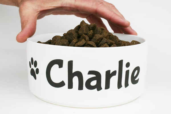 GoTags Personalized Dog Bowl with Name, Custom Ceramic Dog Food Dish