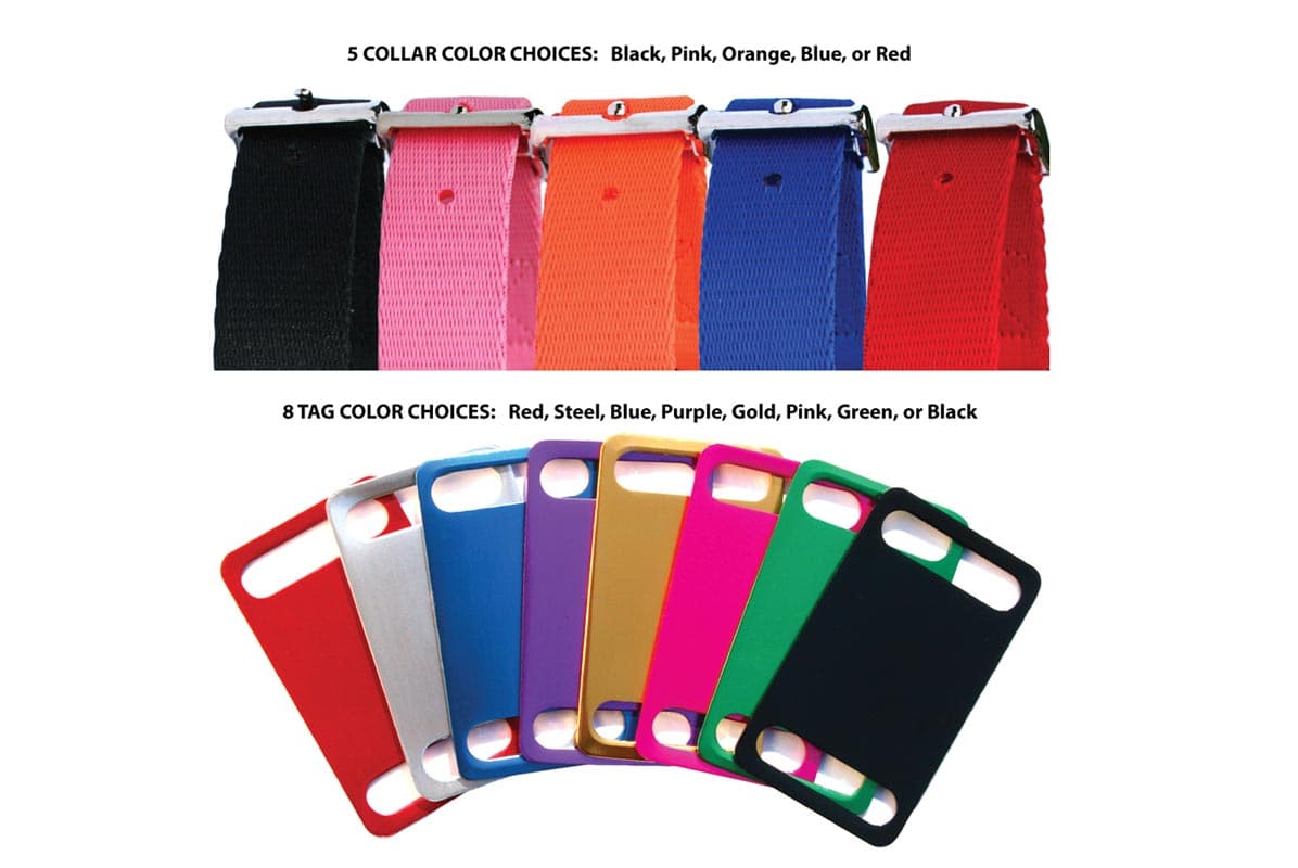 Front of Dog Collar with Personalized Slide-On Nameplate showing 5 collar colors and 8 tag colors on white background