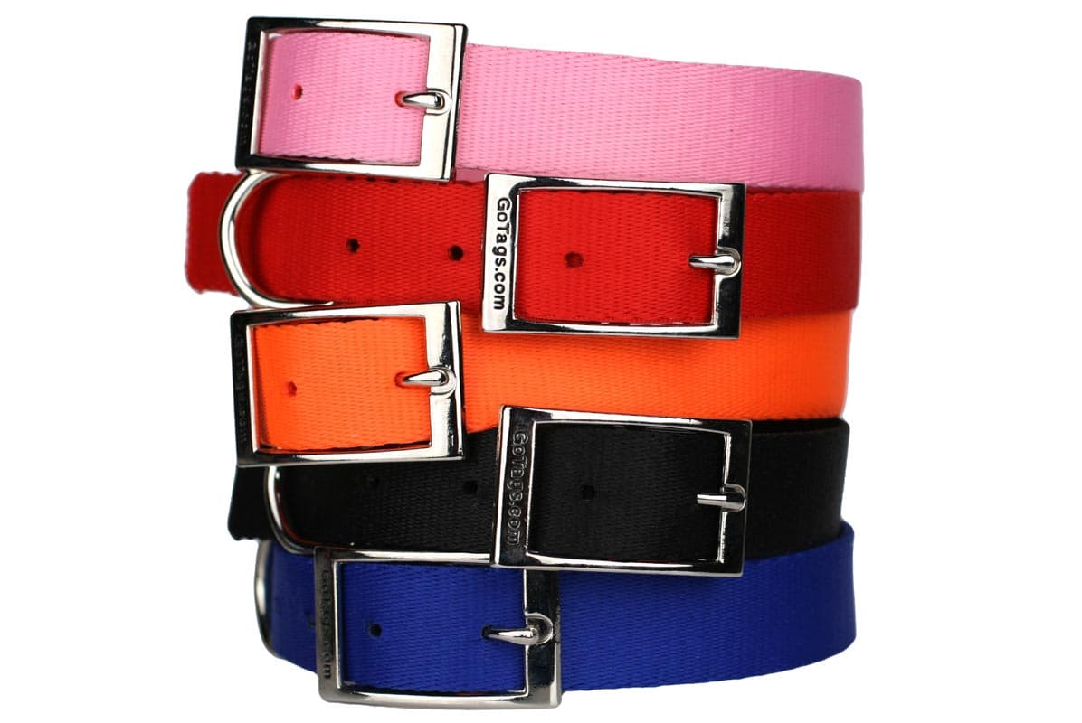 Stacked view of nylon dog collars showcasing metal buckles and D-rings in pink, red, orange, black, and blue on white background