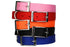 Stacked view of nylon dog collars showcasing metal buckles and D-rings in pink, red, orange, black, and blue on white background