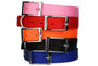 Stacked view of nylon dog collars showcasing metal buckles and D-rings in pink, red, orange, black, and blue on white background