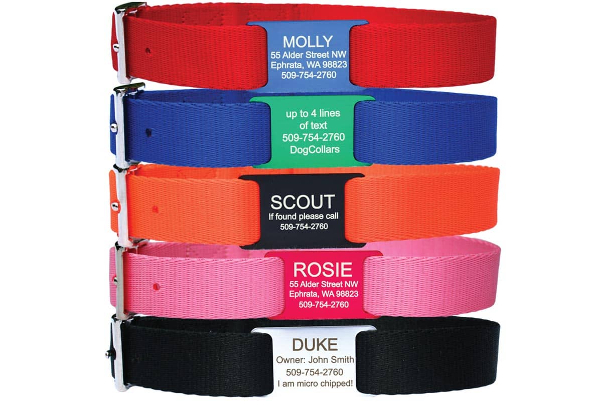 Stacked view of nylon dog collars showcasing personalized slide-on nameplates with sample engraved text on white background