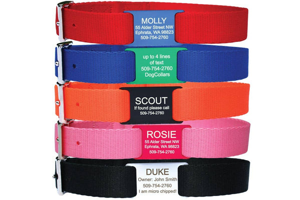 Personalized Custom Leather Dog Collar with Engravable Nameplate - Durable Name Tag Collar - Customizable Dog Collar - Comfortable ID Collars for