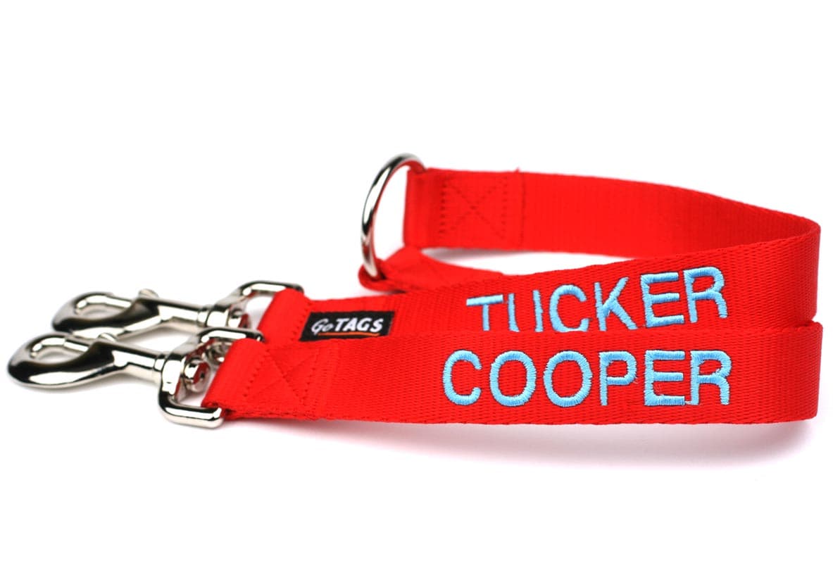 personalized dog leashes