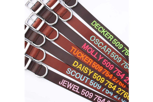 Nylon Dog Collars with Metal Buckle – GoTags