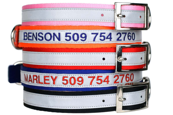 GoTags Personalized Embroidered Reflective Dog Collar with Metal Buckle