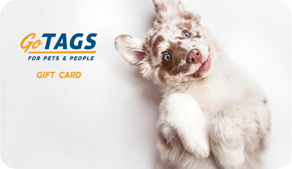 Front of GoTags gift card showing GoTags logo and a playful brown and white puppy on a light background