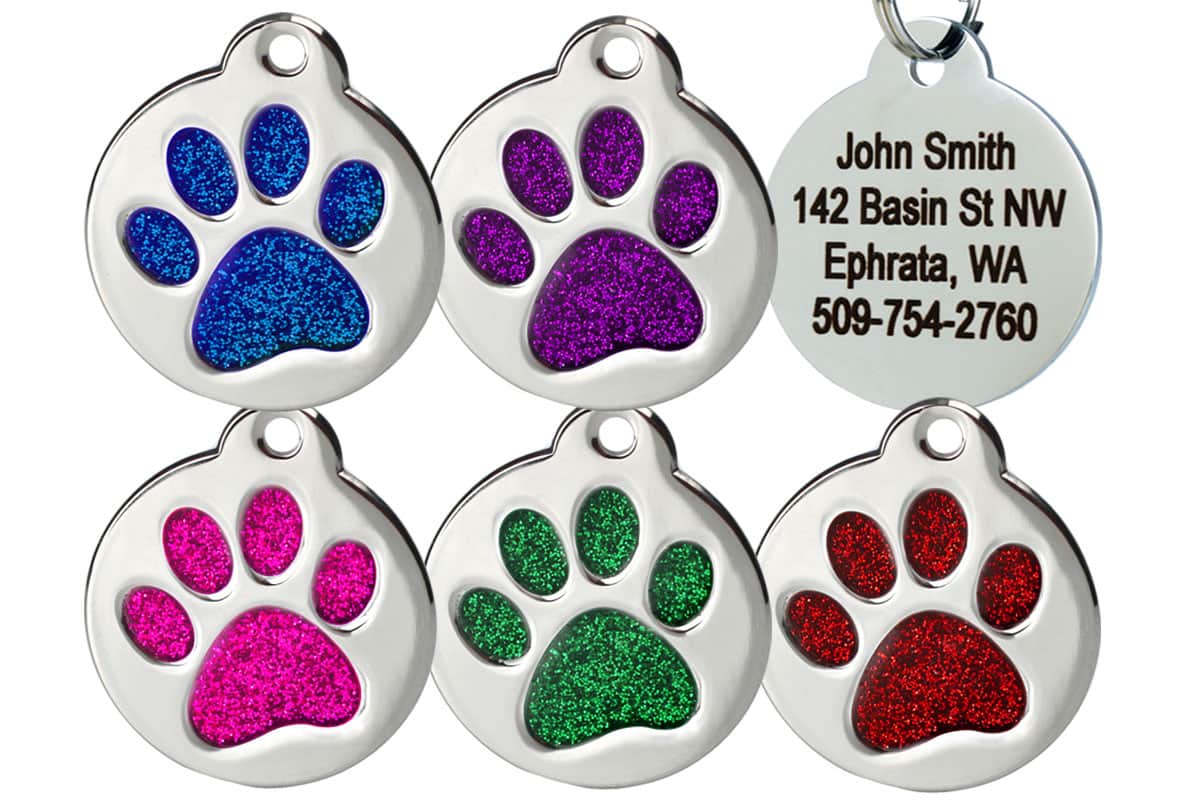Stainless Steel Paw Pet ID Tag-Small Paw