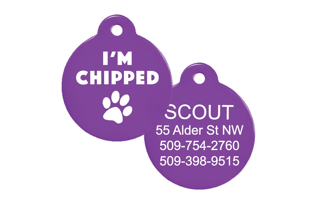 Purple pet tag reading I'M CHIPPED with paw print and sample engraved contact lines on white background