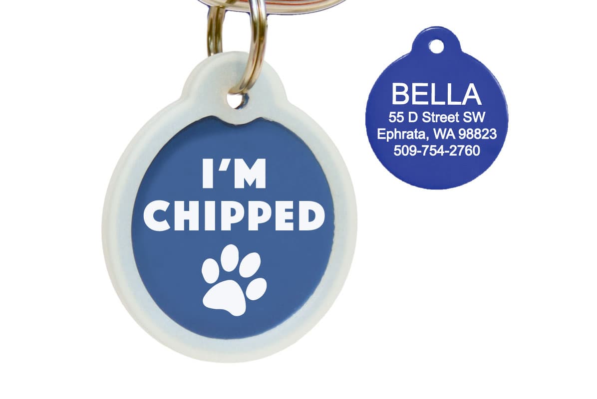 Front view of blue I’m Chipped aluminum pet tag with paw graphic, glow-in-the-dark silencer and split ring