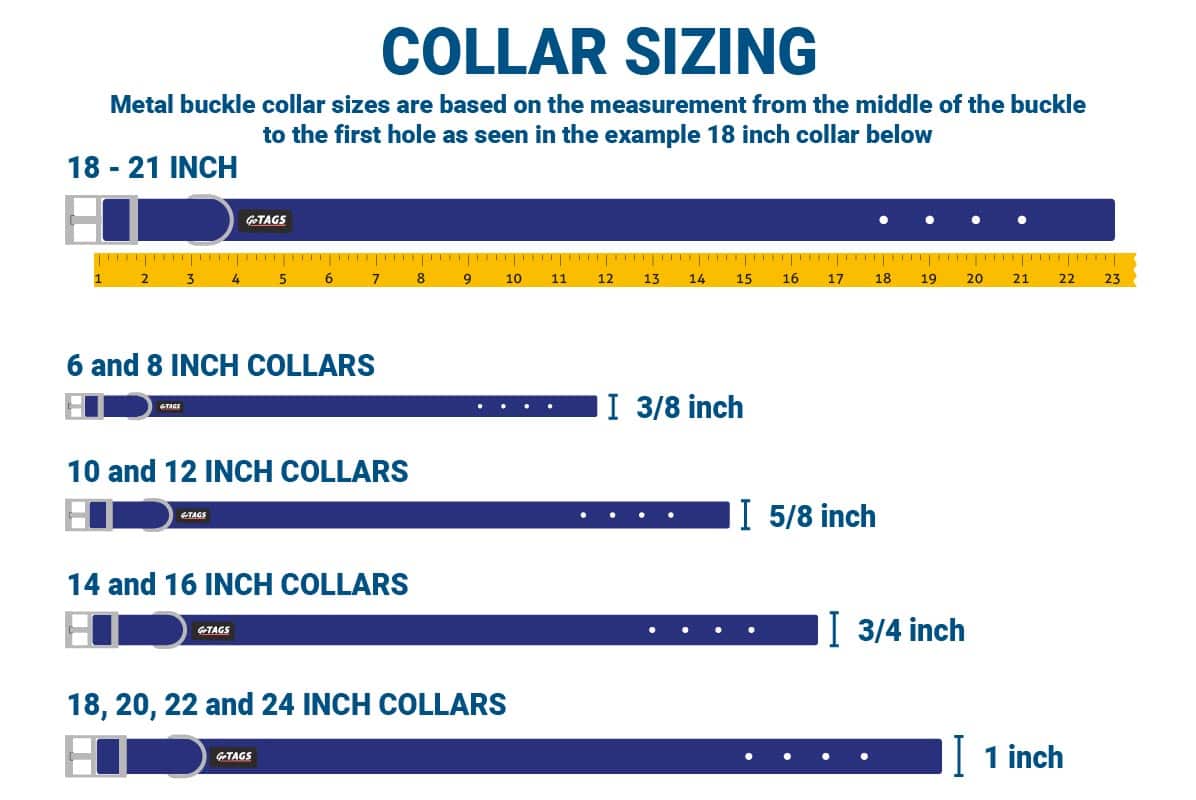 Collar sizing chart showing neck measurement ranges and recommended GoTags metal buckle collar sizes