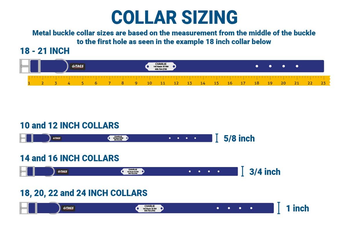 Size chart showing collar sizing ranges and measurement instructions for metal buckle dog collars with rivet-on nameplate