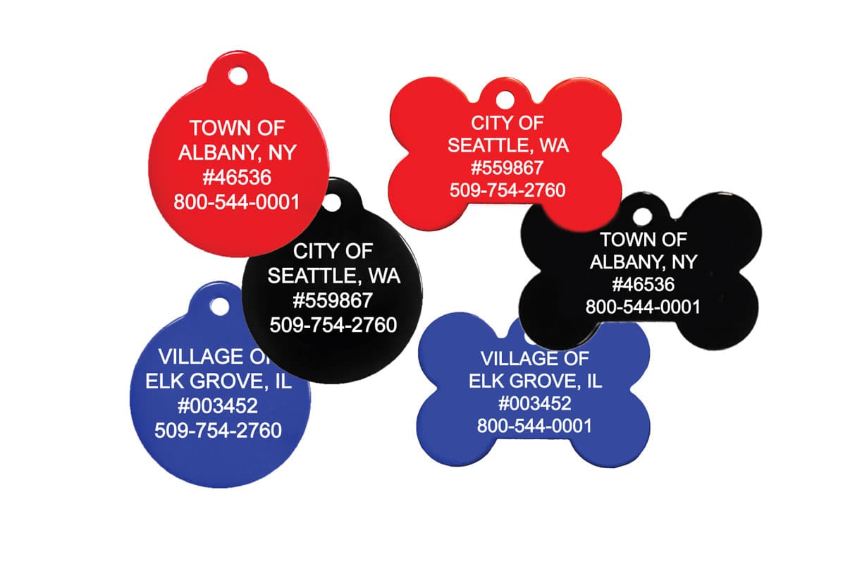 Front view of assorted municipal dog license tags showing white engraved city names and ID numbers on red, black and blue