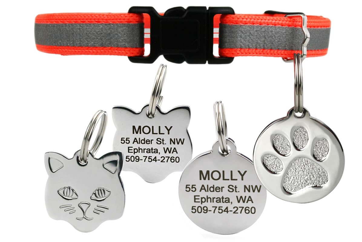 Front view of orange reflective breakaway cat collar showcasing stainless steel engraved ID tag on white background
