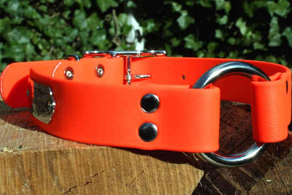 GoTags Personalized Waterproof Orange Hunting Dog Collar with Pivot Ring and Engraved Nameplate ID Tag