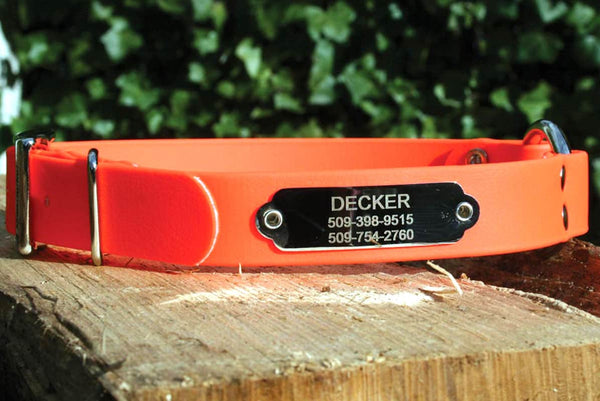 GoTags Personalized Waterproof Orange Hunting Dog Collars with Rivet on Nameplate ID Tag Engraved