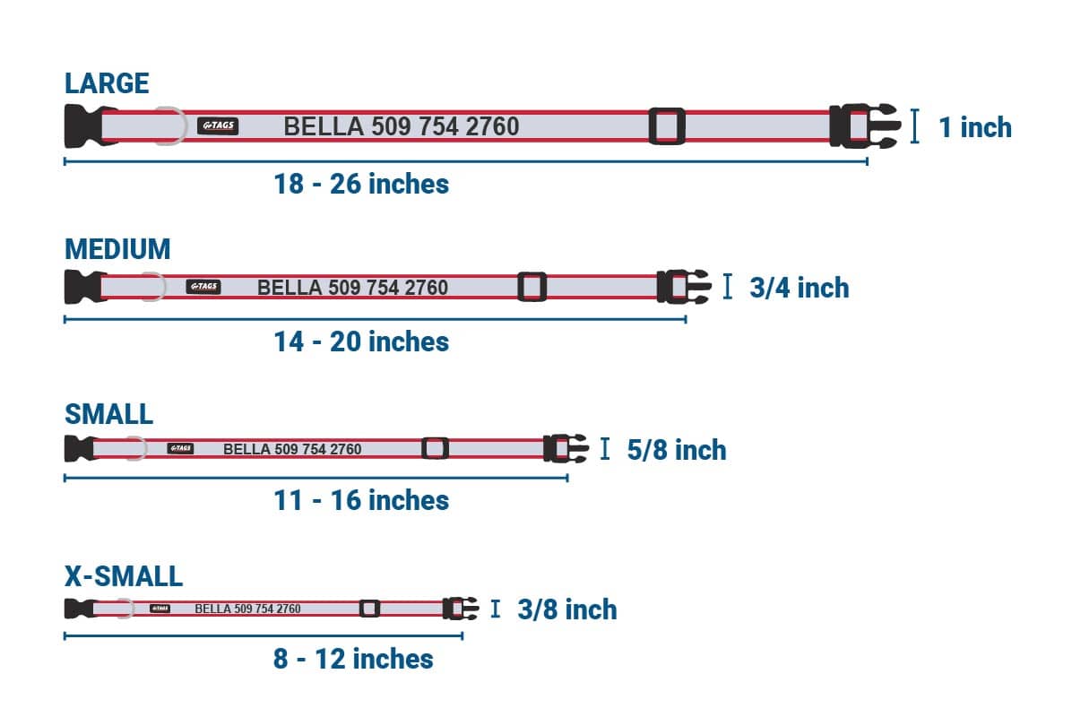 Diagram showing collar sizes and widths: X-Small 8-12 in (3/8 in), Small 11-16 in (5/8 in), Medium 14-20 in (3/4 in), Large 18-26 in (1 in)
