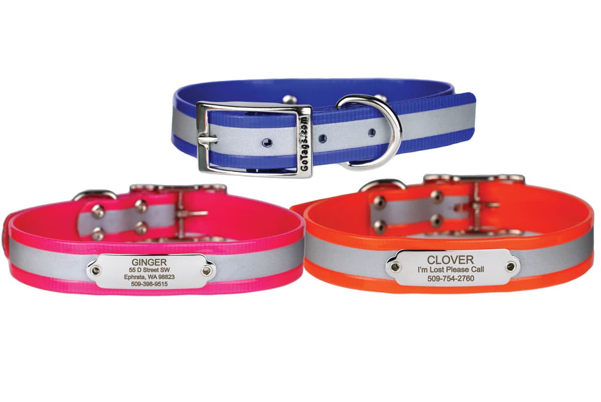 Three reflective BioThane waterproof dog collars (blue, pink, orange) with stainless steel rivet-on nameplates