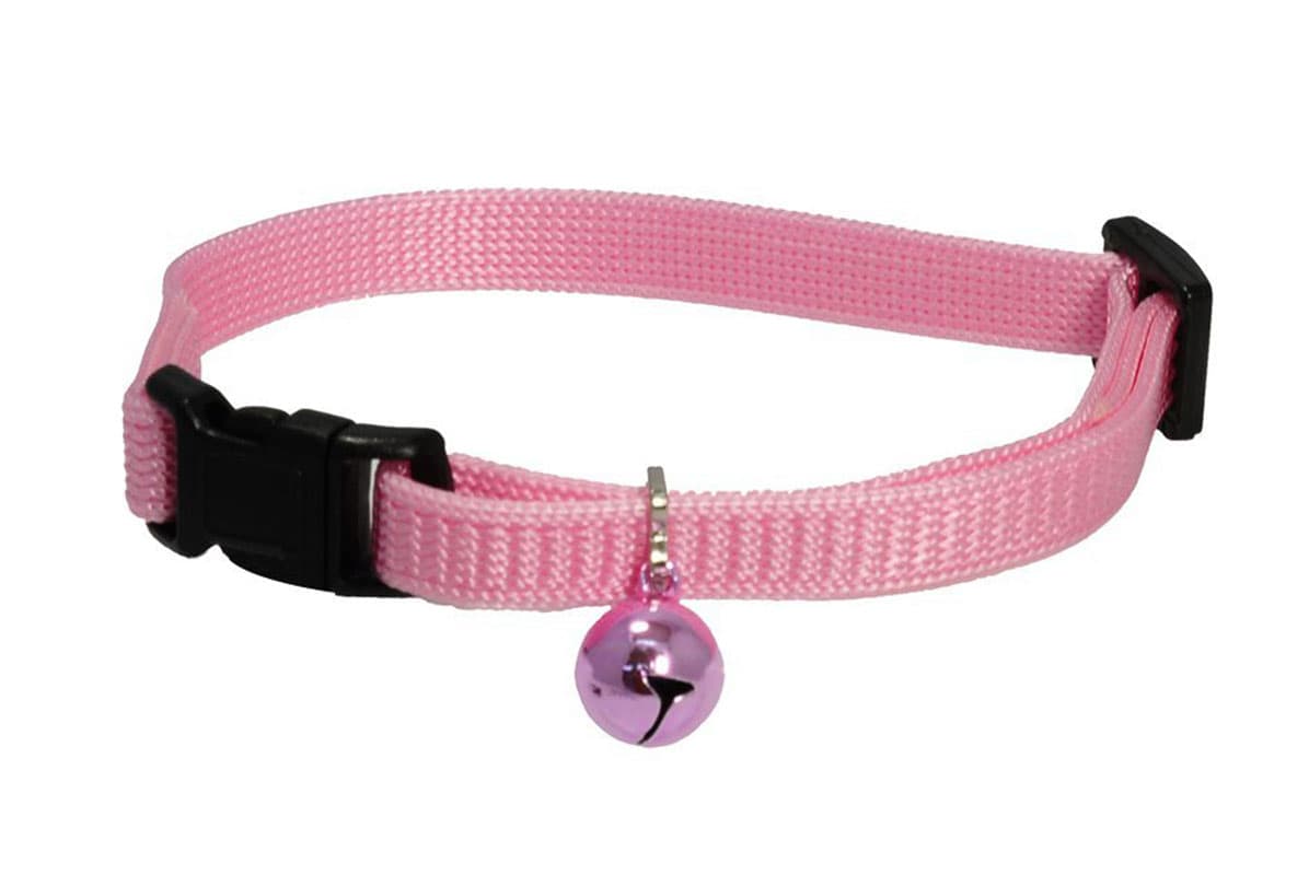 tabby cat cat leashes and collars