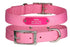 Front view of pink nylon dog collar with rivet-on nameplate engraved Bella 509-754-2760 509-398-9515 on white background