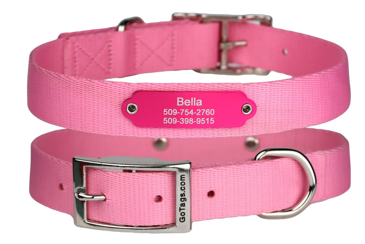 Front view of pink nylon dog collar with rivet-on nameplate engraved Bella 509-754-2760 509-398-9515 on white background