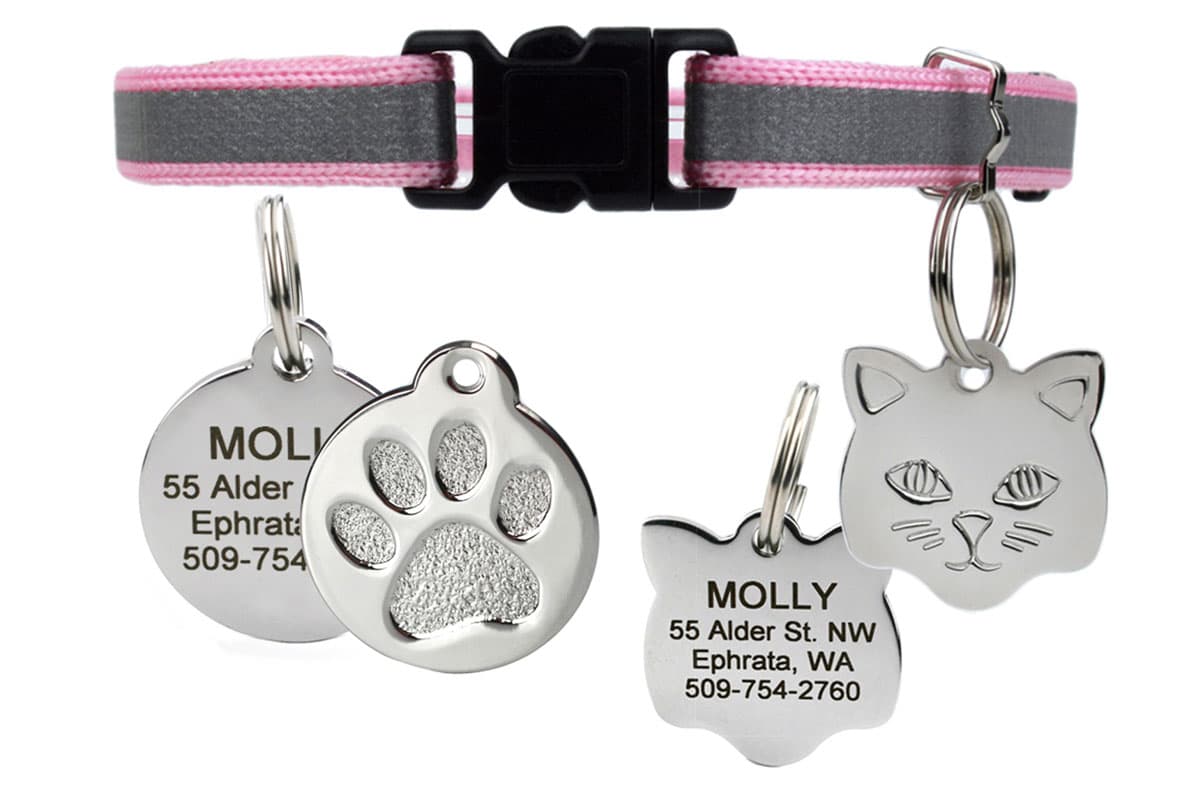 Front view of pink reflective breakaway cat collar with removable bell and stainless engraved ID tag on white background