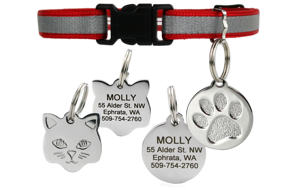 Front view of reflective red cat collar with stainless steel ID tags showing sample engraving MOLLY on white background