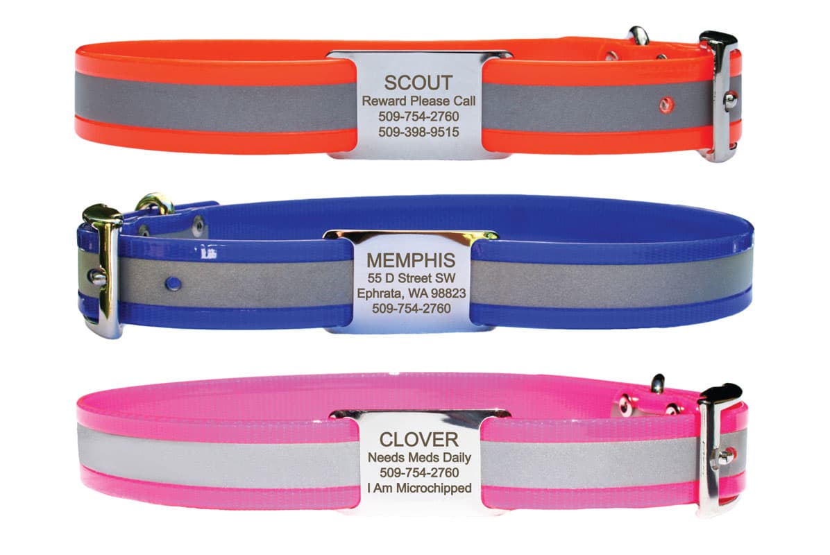 Front view of three reflective BioThane dog collars showcasing slide-on stainless steel nameplates on a white background
