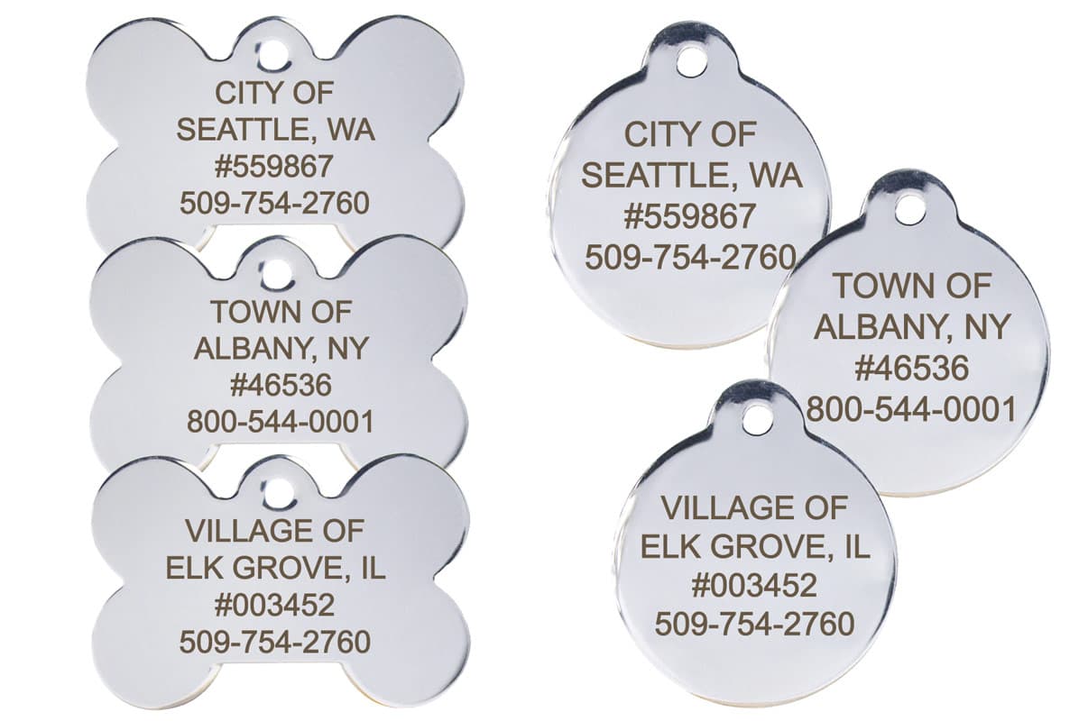 Front-facing group of stainless steel municipal dog tags with engraved city names and ID numbers on white background