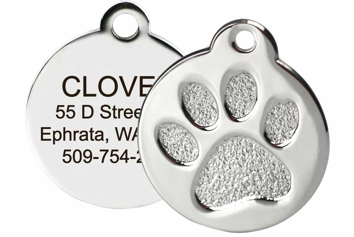 Paw Print Pet Tag | Stainless Steel – GoTags