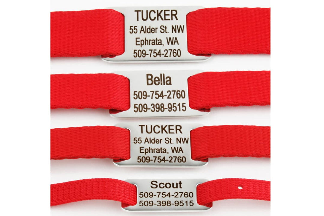SlideOn Dog Tags Stainless Steel Quiet Tags GoTags
