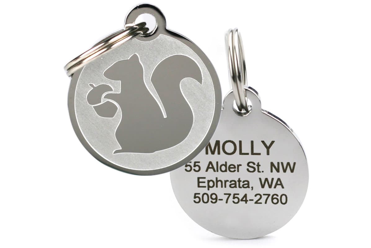 Squirrel Pet ID Tag in Stainless Steel