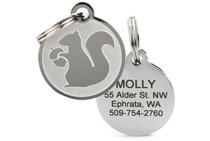 Military Dog Tag for Dogs in Stainless Steel – GoTags