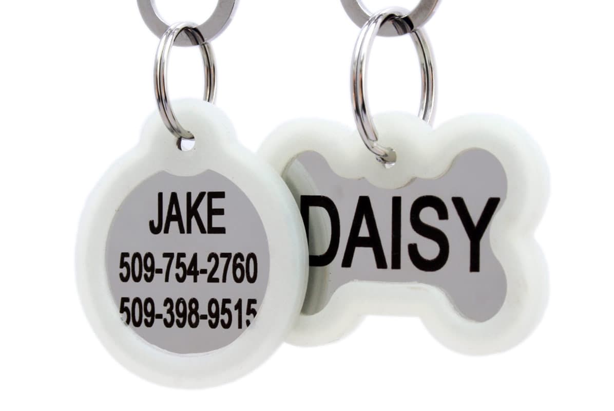 Front close-up of stainless steel pet ID tags showcasing white silicone silencers and engraved names Jake and Daisy on white background