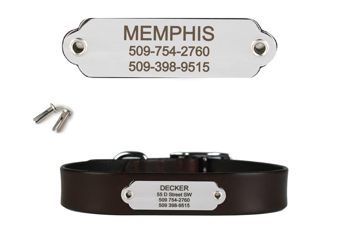 Front view of rivet-on stainless steel dog collar nameplate showing engraved name and phone on polished plate