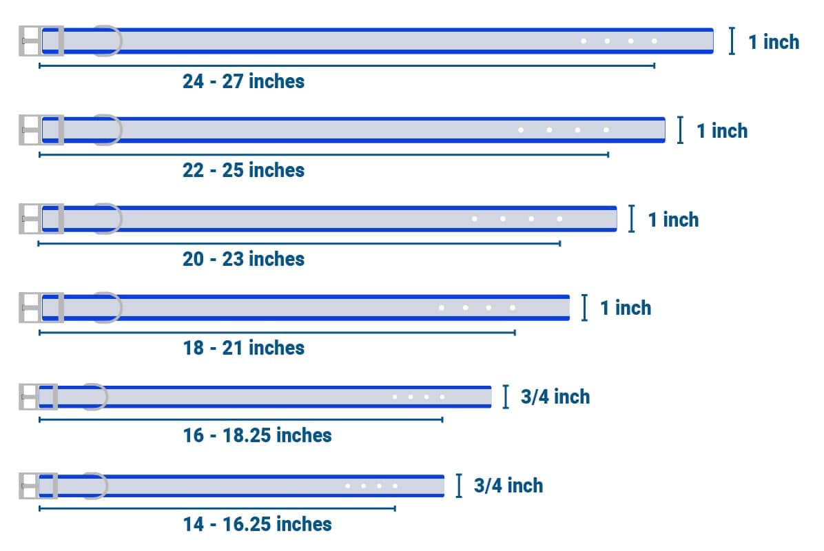 Diagram showing dog collar length ranges and widths: six sizes from 14–27 inches with 1 inch or 3/4 inch widths